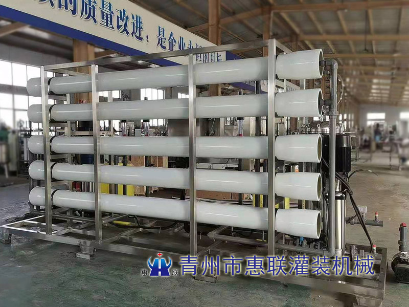 6噸雙級水處理設備